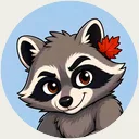 Rakku, the raccoon of Toronto